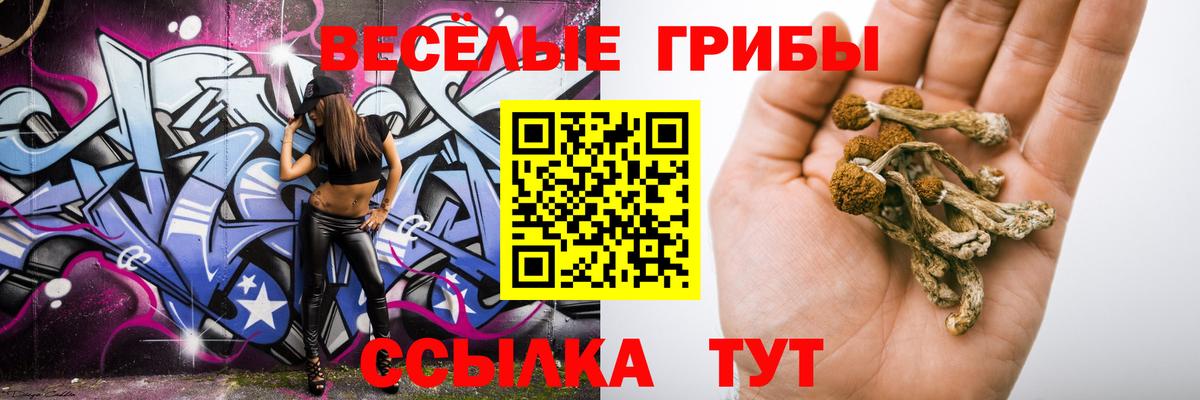 Ефремов  Псилоцибиновые грибы ЛСД  Псилоцибиновые грибы Cubensis  Вход с VPN 